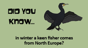 More information