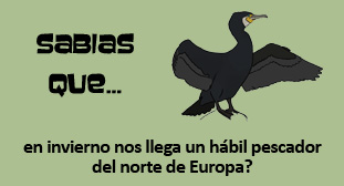 M&aacute;s informaci&oacute;n